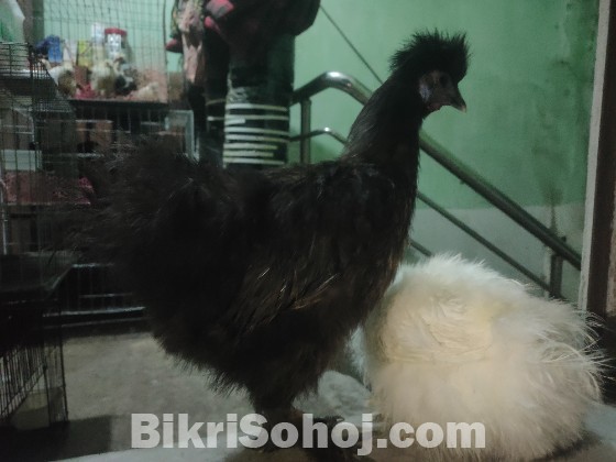 টপ কোয়ালিটি এক সেট সিল্কি